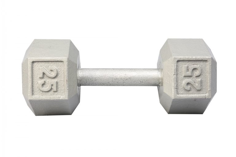 New York 25 lb Cast Iron Hex Dumbbell Freeweights & Accessories